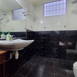 Bishan Park Condominium (D20), Condominium #571552561